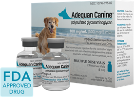 Adequan Canine, 5 mL Vial, Box of 2 Vials | 100 mg/mL Adequan Canine 5 mL Vial - 2 Pack, Adequan canine, Adequan for dogs, Adequan dogs, cheap Adequan, dog arthritis, arthritis in dogs, osteoarthritis, dog arthritis pain relief, joint pain relief, pet meds