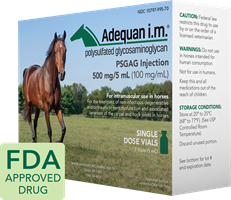 Adequan Equine I.M. 500mg/5ml 7 x 5ml | Box of 7 Vials adequan im 7 vials 5ml treatment non-infectious degenerative traumatic joint dysfunction associated lameness carpal hock joints horses petmeds