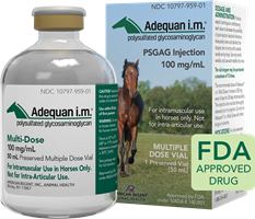 Adequan Equine I.M. Multi-Dose, 100 mg/mL, 50 mL Vial treatment non-infectious degenerative traumatic joint dysfunction associated lameness carpal hock joints horses pet meds